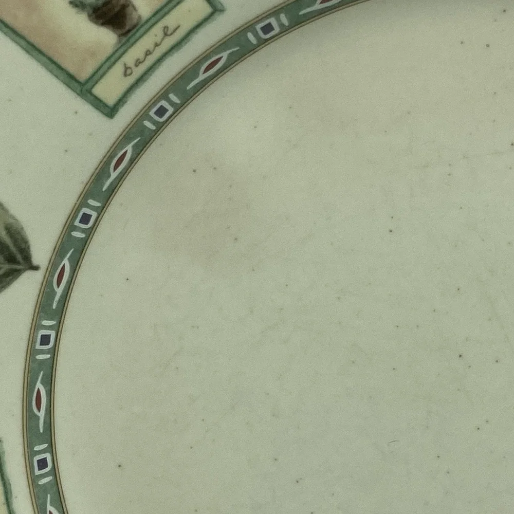 Portfolio Pfaltzgraff Naturewood Dinner Plates 11